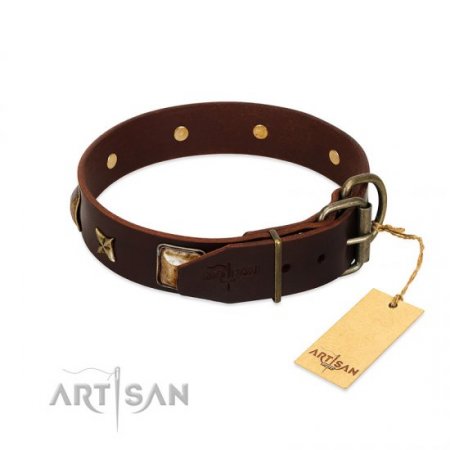 "Choco Dreams" Dark Brown Leather Dog Collar with Brass Studs FDT Artisan