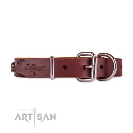 Adorned Brown Leather Dog Collar With ID Plate For Daily Walking