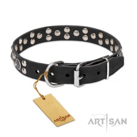 Best Quality Leather Dog Collar With Silver-Like Studs FDT Artisan