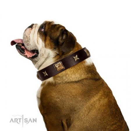 "Choco Dreams" Dark Brown Leather Dog Collar with Brass Studs FDT Artisan