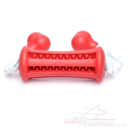 Red Dental Care Dog Toy Bone with Handles Mint Flavoured