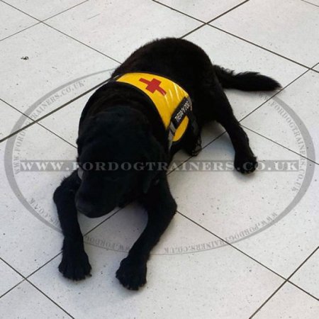 Yellow Service Dog Harness Vest with Removable Patches