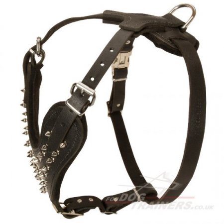Chinese Shar Pei Leather Harness for Dogs' Comfort and Style Spiked