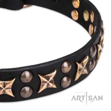 Excellent Black Leather Dog Collar With Studs FDT Artisan For Daily Walks