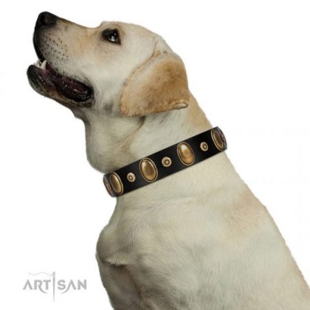 "Venerable Pawty" Black Real Leather Dog Collar With Brass Studs FDT Artisan