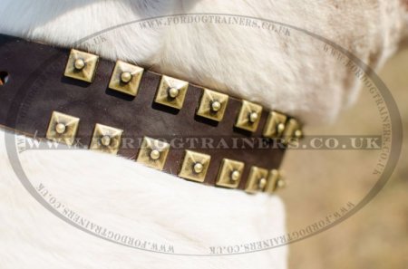 "Gift From Egypt" Fascinating Leather Dog Collar For American Bulldog