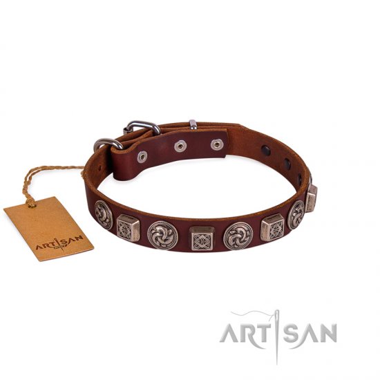 Brown Leather Dog ID Collar | Studded Buckle Dog Collar FDT Artisan