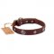 Exclusive Brown Studded Dog Collar FDT Artisan For Active Walking
