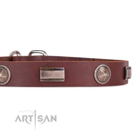 Pretty Brown Dog Collar For Dog’s Safe Walking FDT Artisan