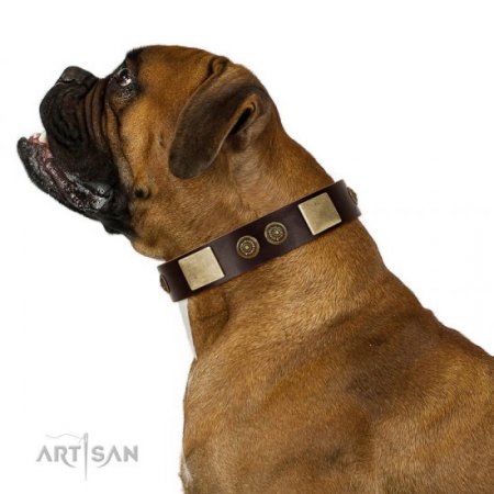 "Bow-Wow Effect" FDT Artisan Brown Leather Dog Collar With Old Bronze-Like Adornment