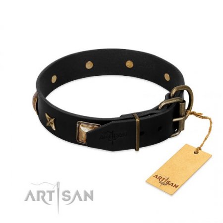 "Starry Harmony" Durable Black Leather Collar For Dog FDT Artisan