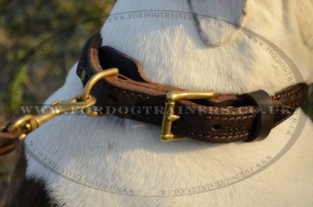"Easy Use" Best Dog Collar For American Bulldog Walk And Training