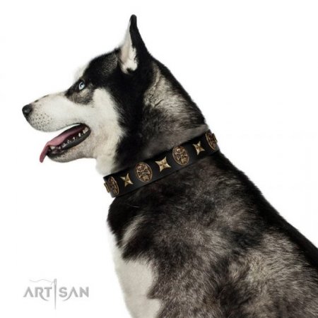 "Starry Saga" Beautiful Black Real Leather Dog Collar FDT Artisan