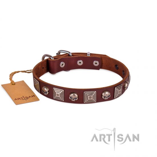 Brown Studded Dog Collar | Leather Dog Collar Metal Buckle FDT Artisan