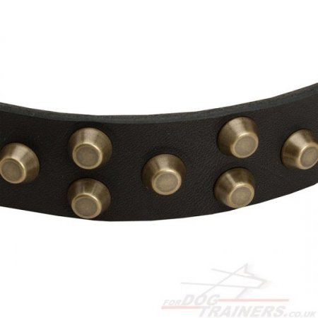 Siberian Husky Dog Collar with Brass Buckle and Studs