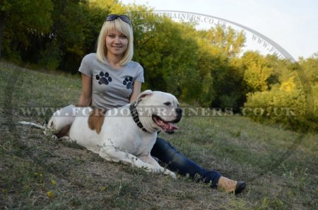 "Vivid Flash Of Lightning" High-Quality Leather Dog Collar For American Bully