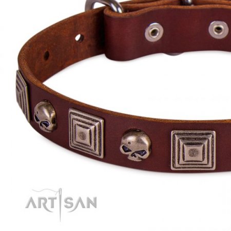 Brown Studded Dog Collar | Leather Dog Collar Metal Buckle FDT Artisan