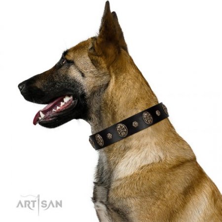 "Pirate's Spell" FDT Artisan Stylish Black Leather Dog Collar With Studs