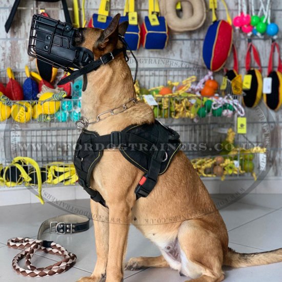 K9 Dog Muzzle for Belgian Malinois Agiation Training