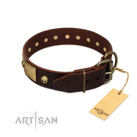 "Heavy Metal" Dark Brown Leather Dog Collar With Glossy Studs FDT Artisan