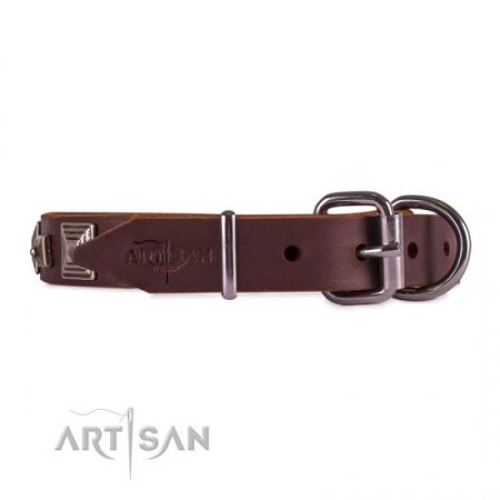 Brown Studded Buckle Dog Collar FDT Artisan For Reliable Control