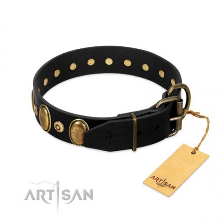 "Venerable Pawty" Black Real Leather Dog Collar With Brass Studs FDT Artisan