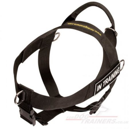 Best Labrador Dog Harness to Stop Dog Pulling on a Leash