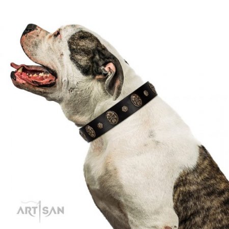 "Pirate's Spell" FDT Artisan Stylish Black Leather Dog Collar With Studs