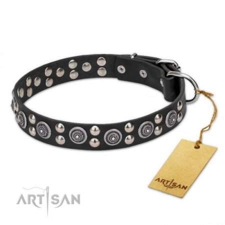 Best Quality Leather Dog Collar With Silver-Like Studs FDT Artisan