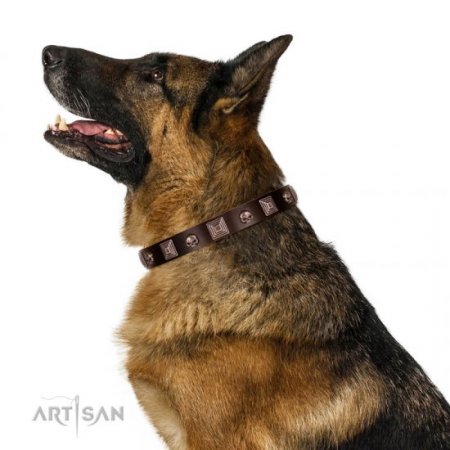 Brown Studded Dog Collar | Leather Dog Collar Metal Buckle FDT Artisan