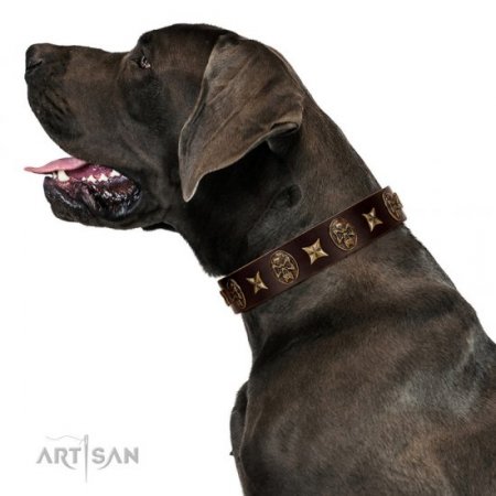 Fashionable Brown Leather Dog Collar "Captain Hook" FDT Artisan