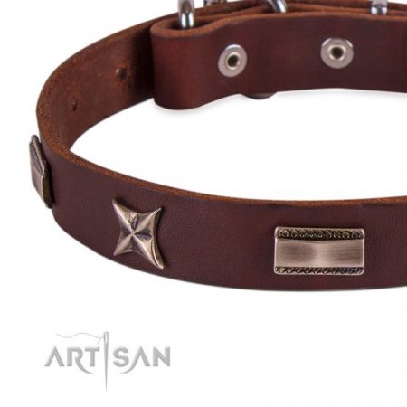 Advanced! Brown Leather Collar For Dog FDT Artisan Fashionable Design