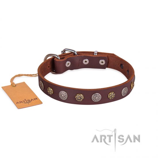 Extraordinary Soft Brown Leather Dog Collar Adorned With Glossy Studs