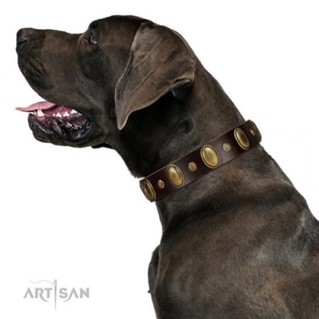 "Natural Grace" Nice Brown Leather Dog Collar With Brass Adornment FDT Artisan