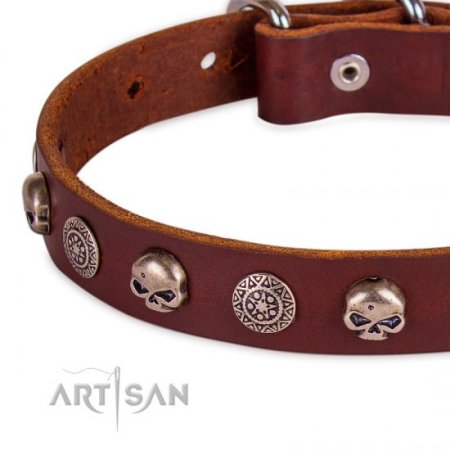 Adorned Brown Leather Dog Collar With ID Plate For Daily Walking