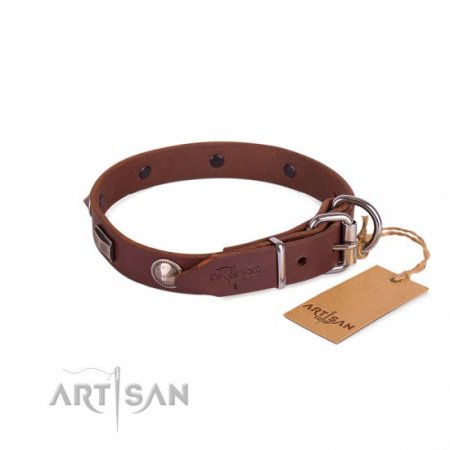 Pretty Brown Dog Collar For Dog’s Safe Walking FDT Artisan