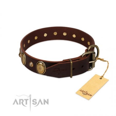 "Natural Grace" Nice Brown Leather Dog Collar With Brass Adornment FDT Artisan