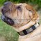 Strong Leather Dog Collar for Shar Pei Dogs Walking