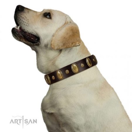 "Natural Grace" Nice Brown Leather Dog Collar With Brass Adornment FDT Artisan