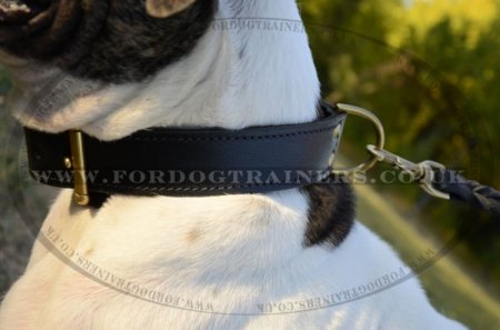 "Easy Control" Agitation Dog Collar For American Bulldog With Handle