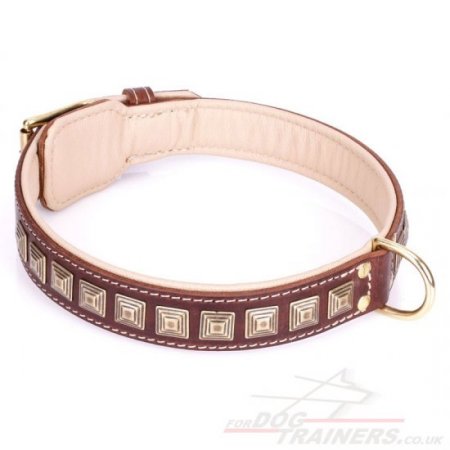 "Pyramid" Handmade Brown Leather Dog Collar Adorned With Brass Studs