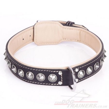 "Cone" Extravagant Black Leather Dog Collar With Studs