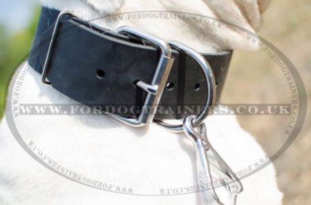 "Laconic Austerity" Wide Leather Dog Collar For American Bulldog 2"