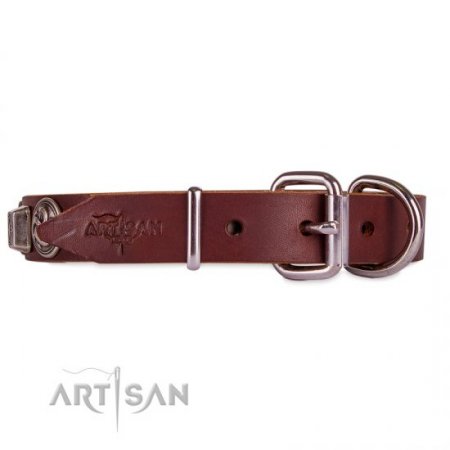 Brown Leather Dog ID Collar | Studded Buckle Dog Collar FDT Artisan