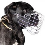 Basket Dog Muzzle for Cane Corso - Best Cane Corso Muzzle