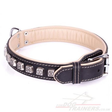 "Cube" Luxury Black Leather Dog Collar With Brass Studs