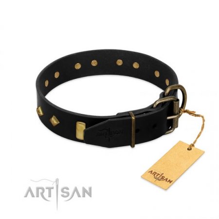 "De Luxe" Soft Black Leather Dog Collar With Brass Decorations FDT Artisan