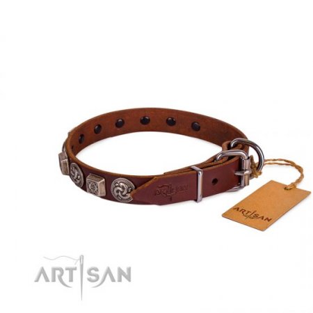 Brown Leather Dog ID Collar | Studded Buckle Dog Collar FDT Artisan