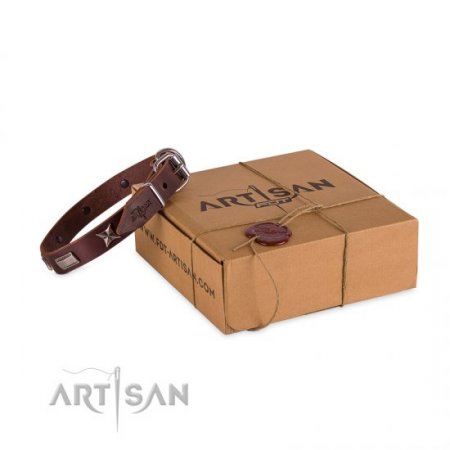 Advanced! Brown Leather Collar For Dog FDT Artisan Fashionable Design