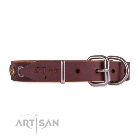 Extraordinary Soft Brown Leather Dog Collar Adorned With Glossy Studs